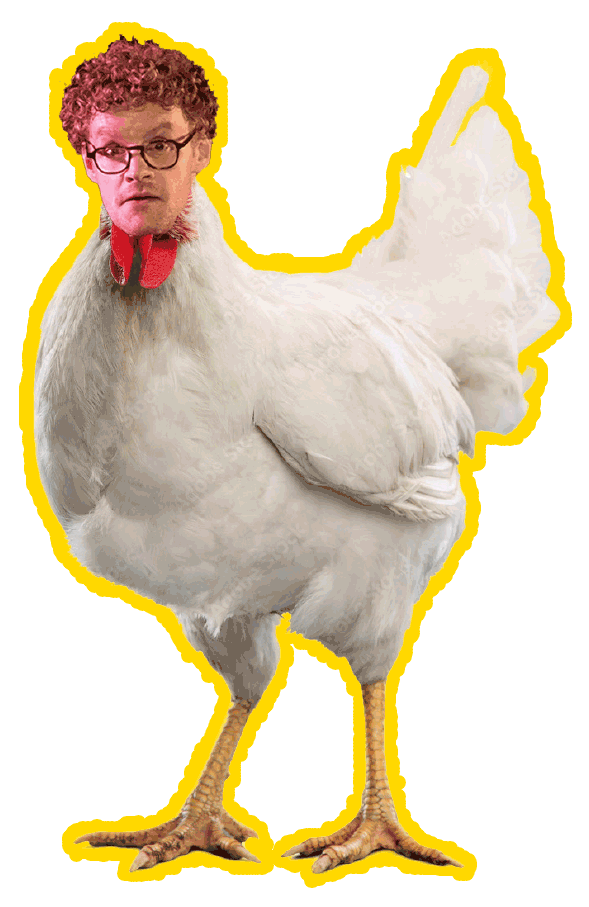Chicken GIF